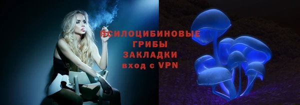 apvp Нязепетровск