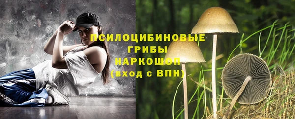apvp Нязепетровск