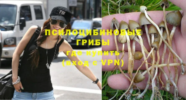 apvp Нязепетровск