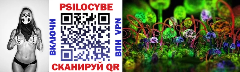 где купить наркотик  Новокузнецк  shop официальный сайт  Псилоцибиновые грибы GOLDEN TEACHER 