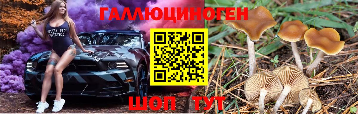 Псилоцибиновые грибы прущие грибы Новокузнецк