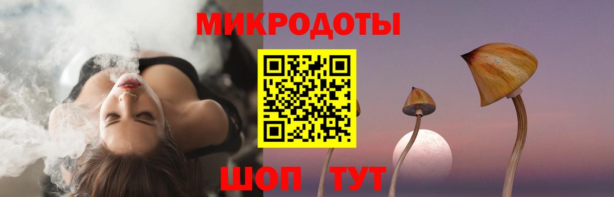Галлюциногенные грибы Cubensis  Вход с VPN  Новокузнецк 