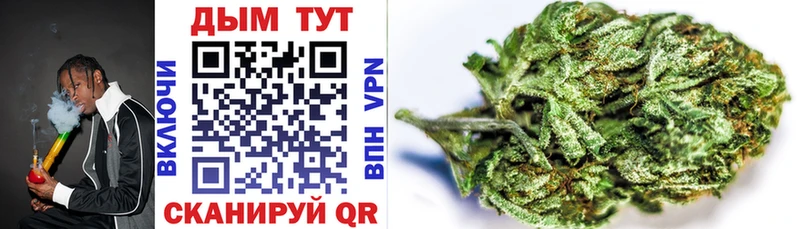 Каннабис планчик  наркота  blacksprut как войти  Новокузнецк 